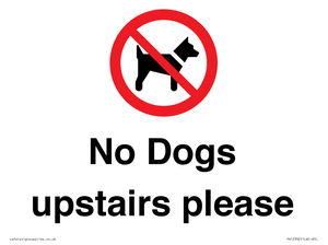 No Dogs upstairs please 